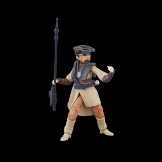 STAR WARS The Black Series Luke Skywalker (Imperial Guard) & Princess Leia Organa (Boushh)
