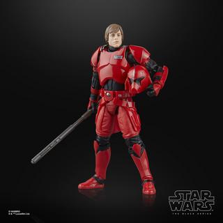 STAR WARS The Black Series Luke Skywalker (Imperial Guard) & Princess Leia Organa (Boushh)