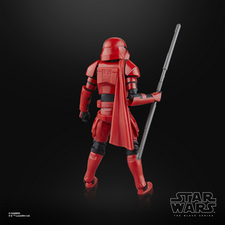 STAR WARS The Black Series Luke Skywalker (Imperial Guard