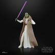STAR WARS The Black Series Jedi Master Vernestra Rwoh