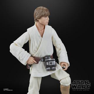 STAR WARS The Black Series Luke Skywalker