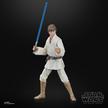 STAR WARS The Black Series Luke Skywalker