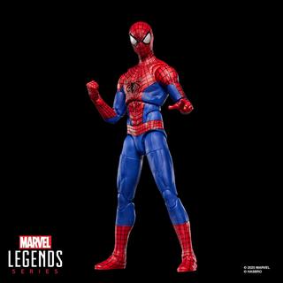 Marvel Legends Series, The Amazing Spider-Man