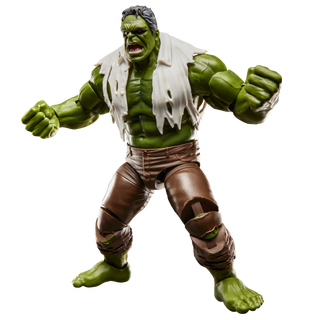 Marvel Legends Series Hulk