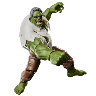 Marvel Legends Series Hulk