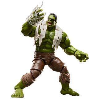 Marvel Legends Series Hulk