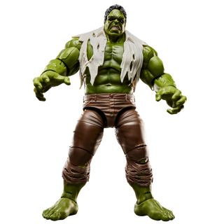 Marvel Legends Series Hulk