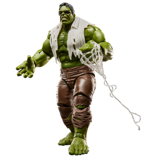 Marvel Legends Series Hulk