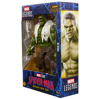 Marvel Legends Series Hulk