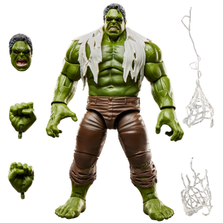Marvel Legends Series Hulk
