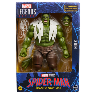 Marvel Legends Series Hulk