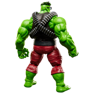 Marvel Legends Series Professor Hulk