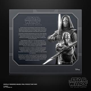 Star Wars The Black Series Jedi-Tempel-Wächter