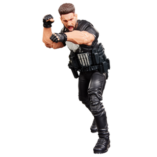 Marvel Legends Series The Punisher
