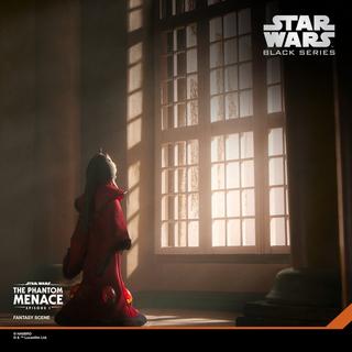 STAR WARS Black Series Queen Amidala Action Figure