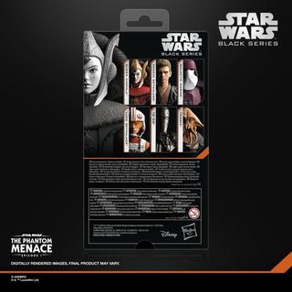 STAR WARS Black Series Queen Amidala Action Figure