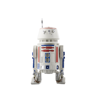 Star Wars The Black Series R5-D4 Figure