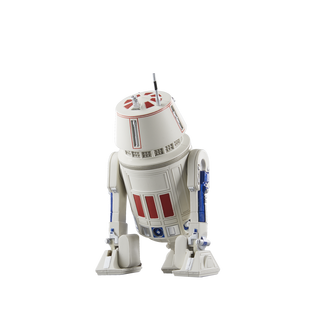 Star Wars The Black Series R5-D4 Figure