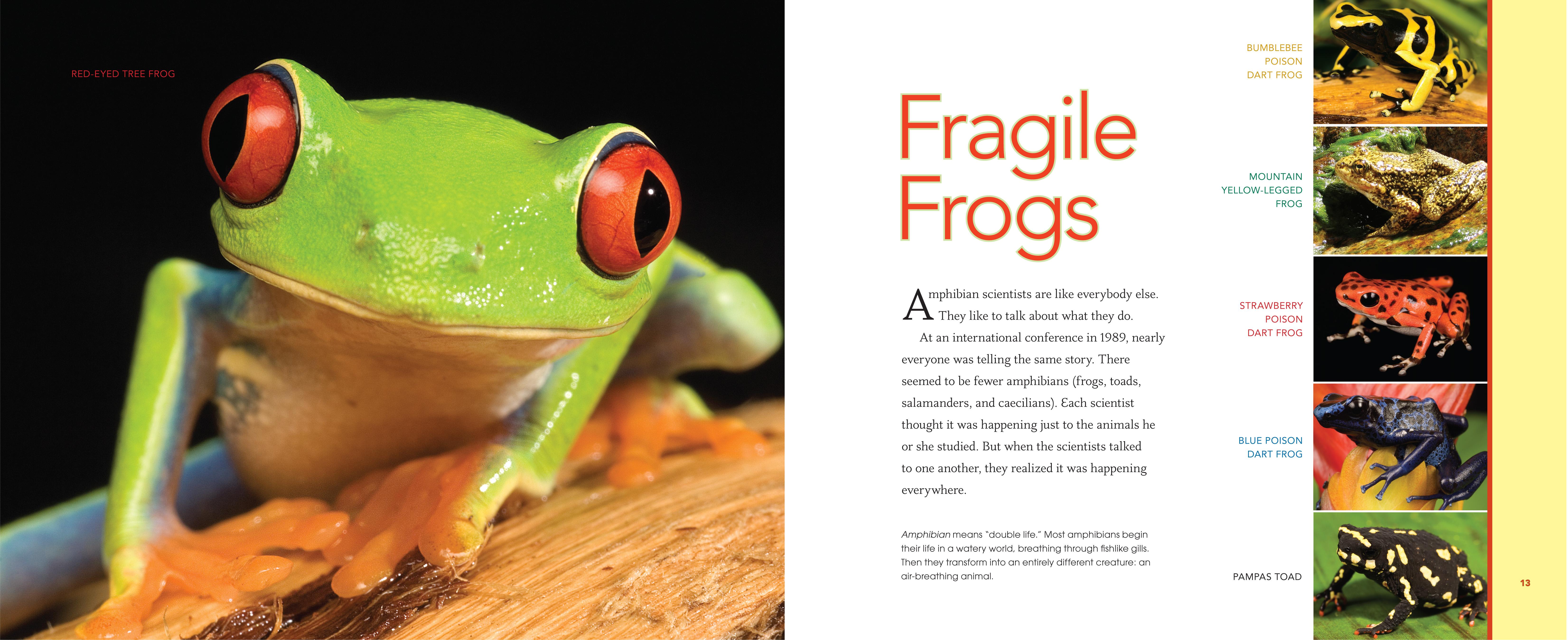 FrogScientist-3