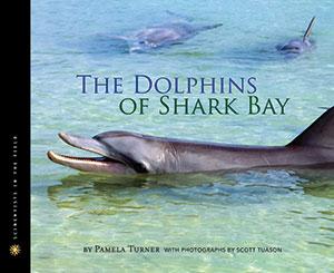 Dolphins Of Shark Bay