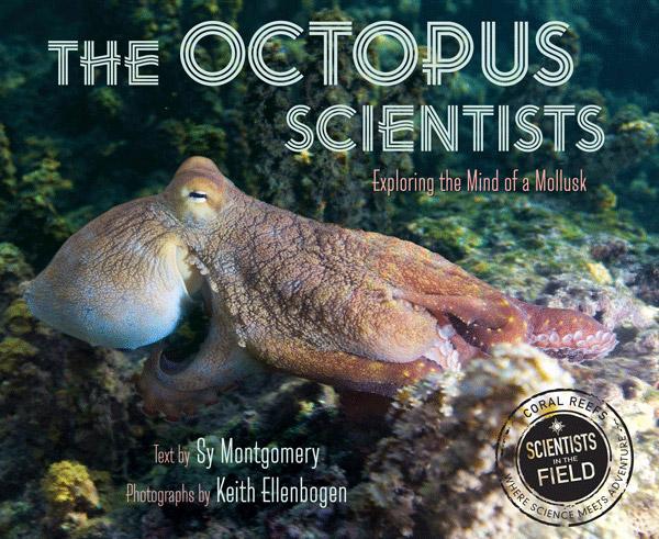 Octopus Scientist