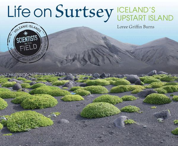 Life On Surtsey