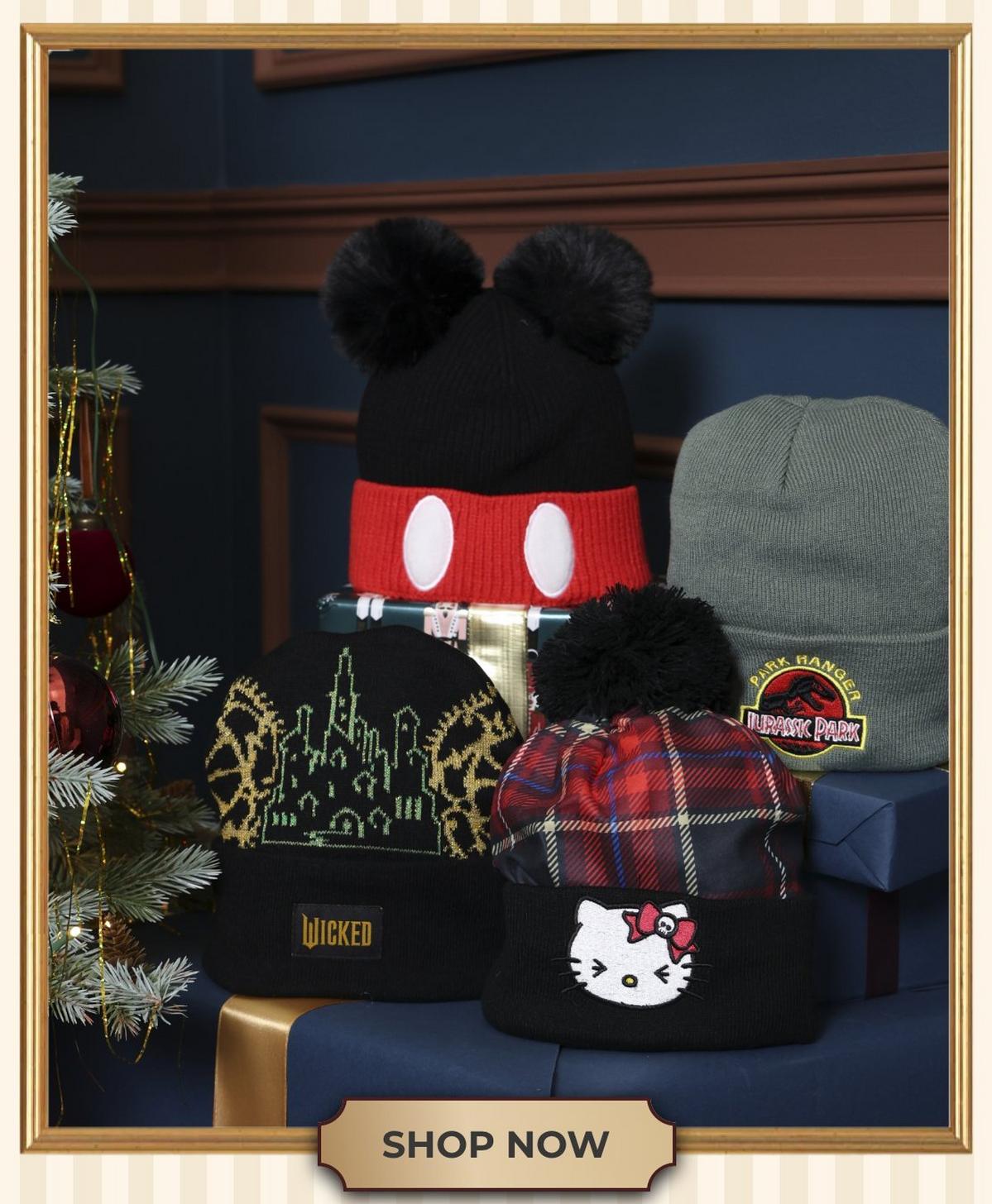 Various beanies. Shop accessories