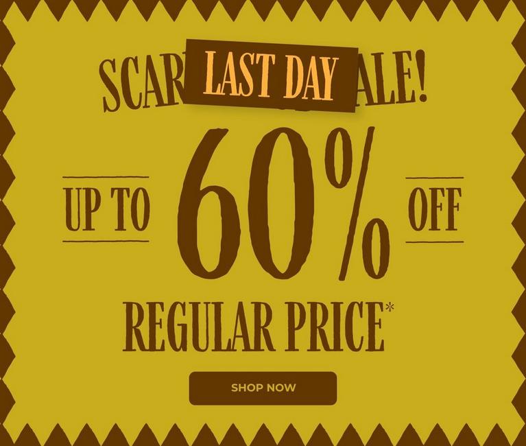 Sale graphic reading “Last Day Sale” and “Up to 60% off regular price” with Shop Now button.