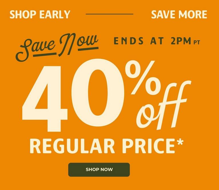 Promotional graphic: Save Now 40% off regular price, ends at 2PM PT, Shop Now.
