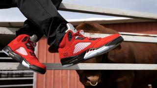 Jordan 10 raging store bull