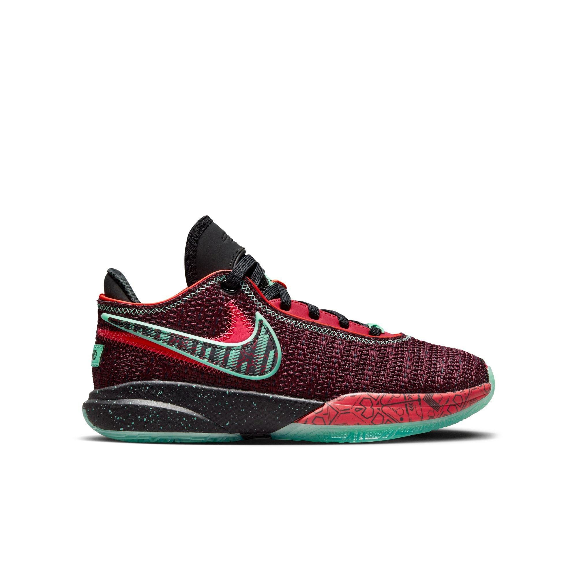 Nike lebron shop 5 marron