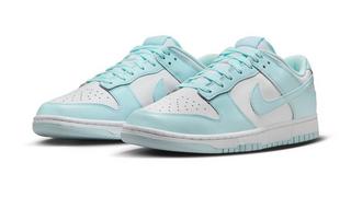 Nike Dunk Low Retro 