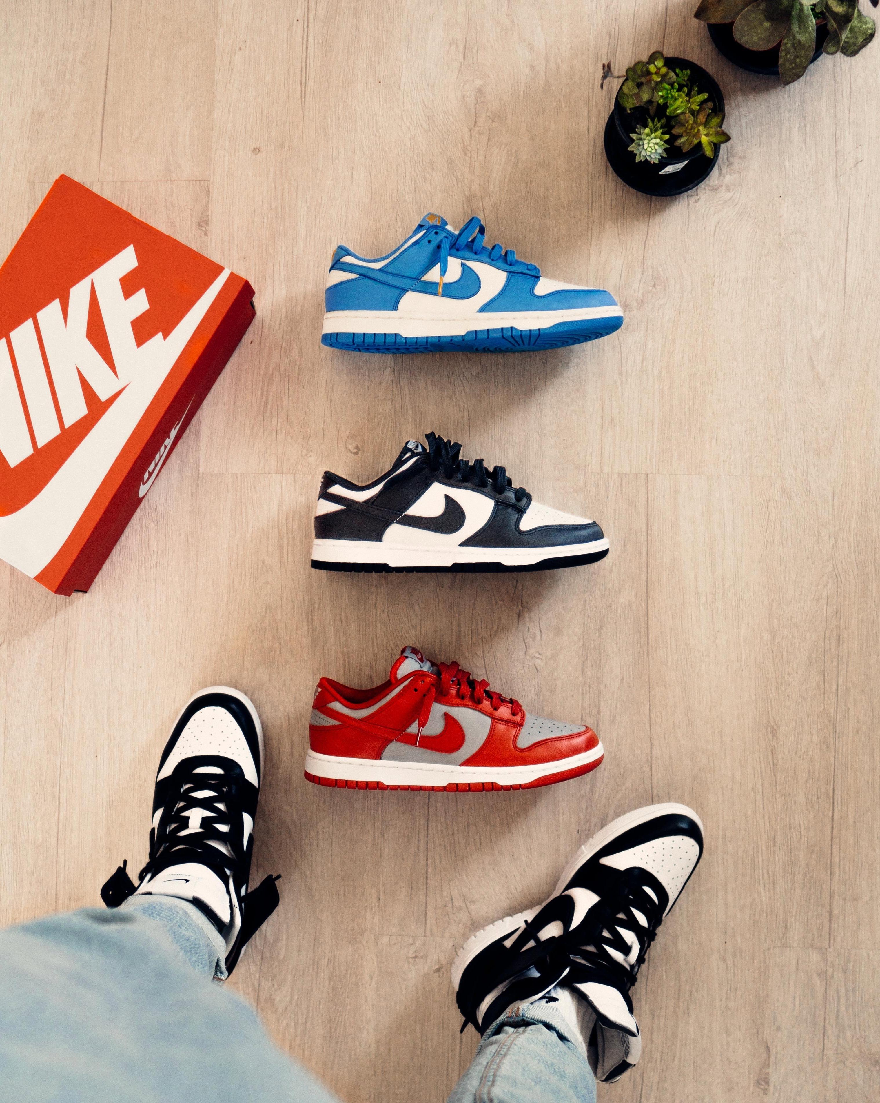 nike dunks vs jordan 1 low