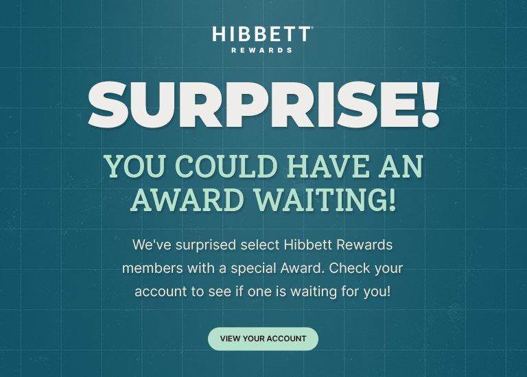 Hibbett Rewards promotional graphic with the headline “Surprise! You could have an award waiting!” The message states that select Hibbett Rewards members have been surprised with a special award and encourages them to check their account to see if a reward is available. A button reads “View Your Account.”