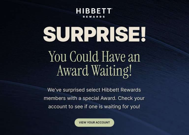 Hibbett Rewards promotional banner with the message Surprise! You Could Have an Award Waiting! and a call-to-action button that says “\View Your Account on a dark navy textured background.
