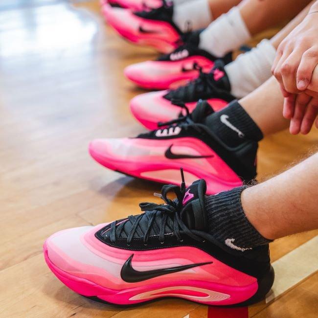 a-one-leo-lights-seeding