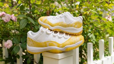 Jordan 11 Retro Low 