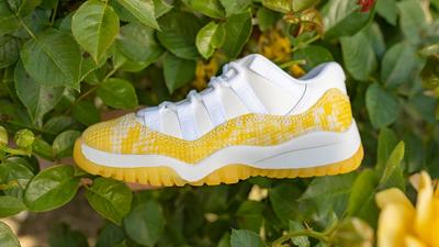 Jordan 11 low clearance yellow