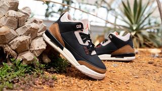 Jordan, Shoes, Air Jordan 3 Retro Desert Elephant In Blackrush  Orangefossil Stone Mens 9