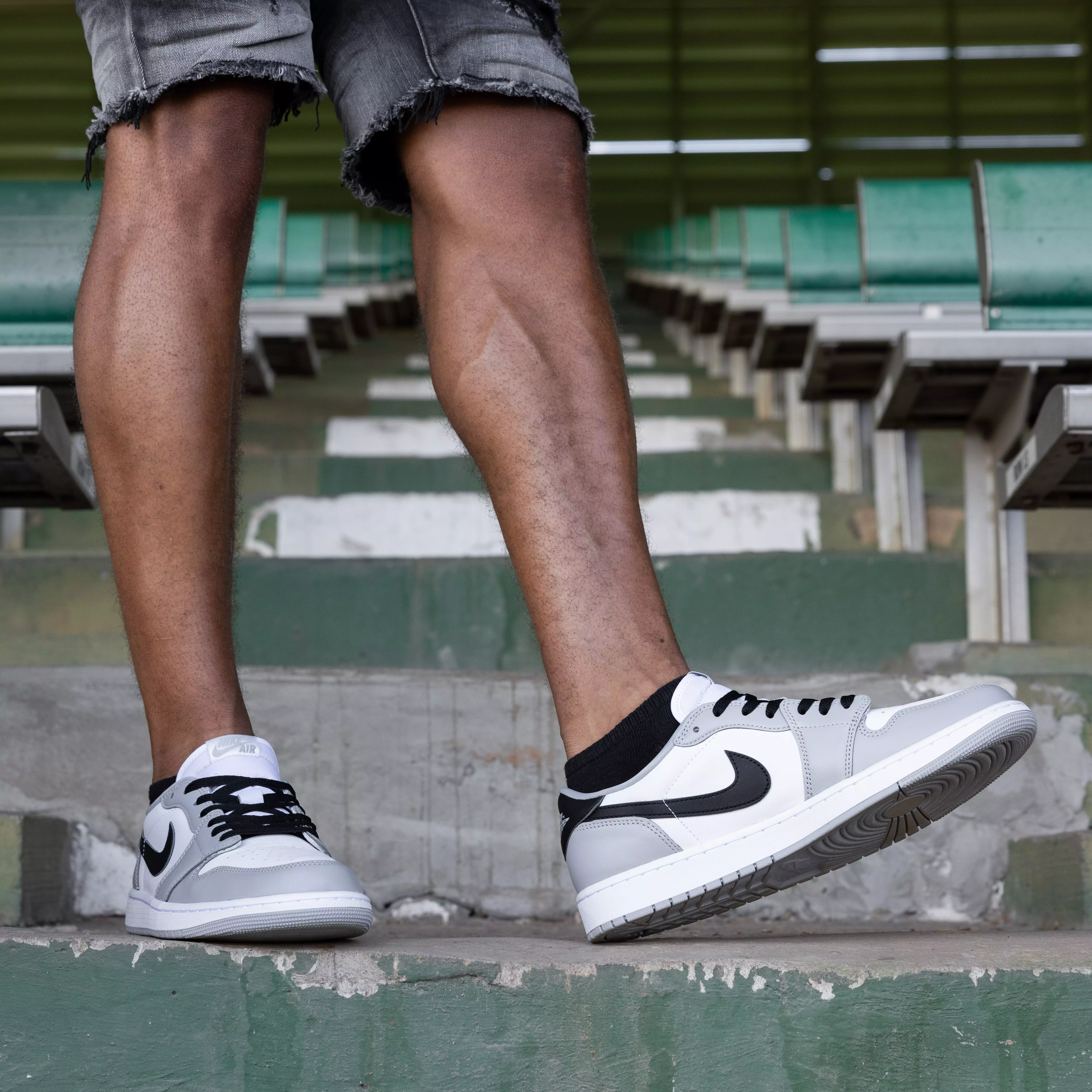 Air Jordan 1 Retro Low 