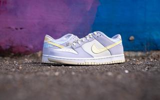 History of the Nike Dunk: Three Decades of a Cultural Phenomenon