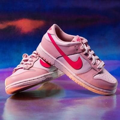 Nike Dunks Iconic Sneaker for Style Comfort Hibbett City Gear