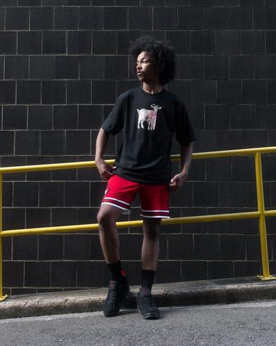 Boy modeling Jordan Men's Graphic Tee