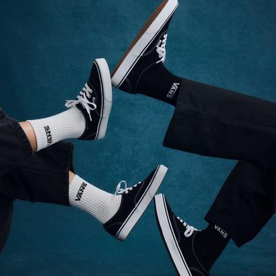 Vans Icons