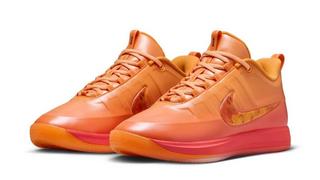 Nike Book 2 "The Phoenix"