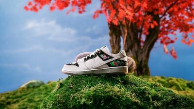 Nike SB x N7 Dunk Collection