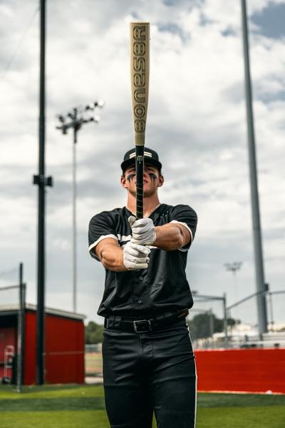 Warstic Baseball Bat