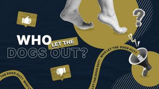 Who Let the Dogs Out