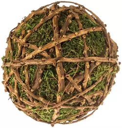Moss