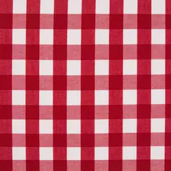 Gingham Fabric